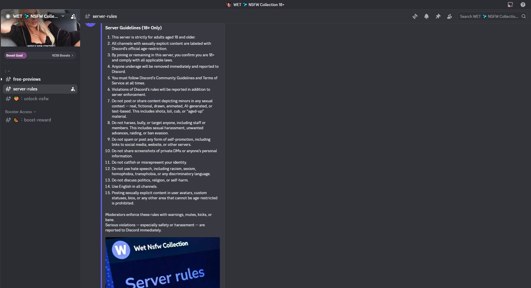 WET NSFW Collection 18+ Discord Server - best adult server with 140 plus categories